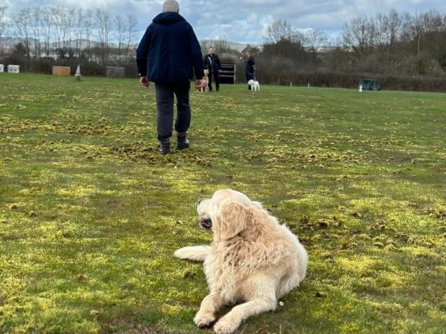 Joule et son maître Robert 