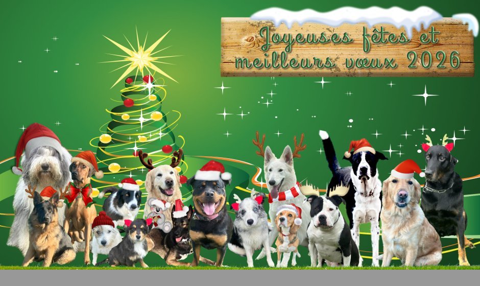 Joyeuses fêtes et meilleurs vœux 2026